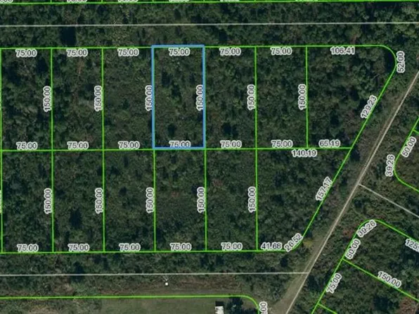 1431 Scrub Jay St #6, Lake Placid, FL 33852