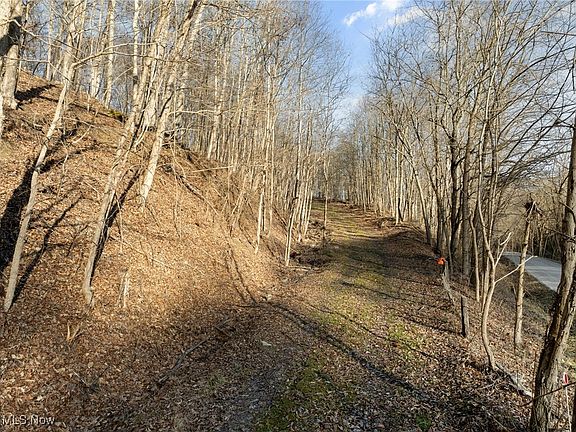 2nd image of 0 Little McMahon Creek Rd