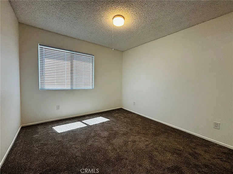 11919 Rudbeckia Cir — Photo 14