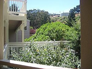 2nd image of 802 Red Leaf Ct