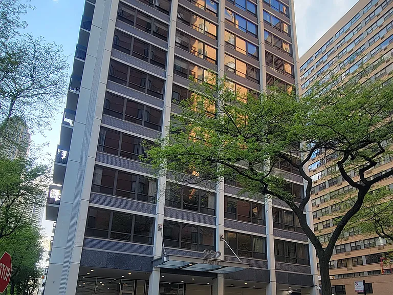 222 E Pearson St #1407 — Photo 2