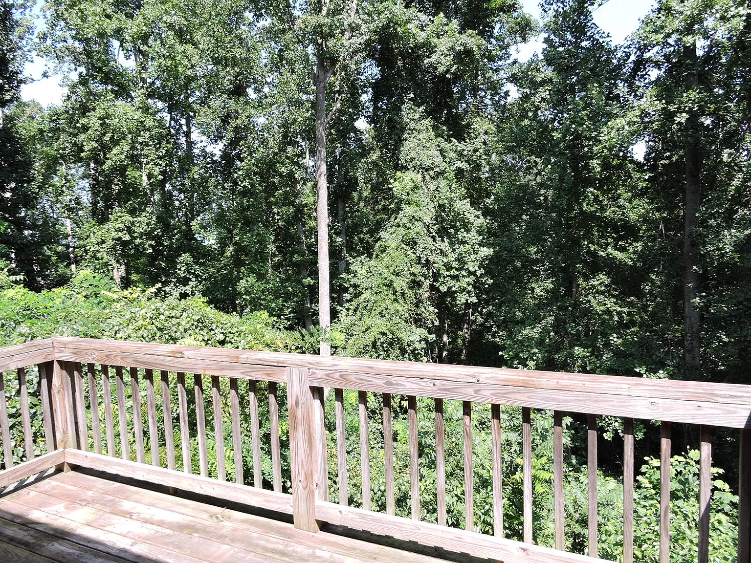 2 bed, 920 sqft, $1,550 — Photo 3