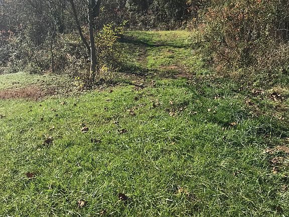 5th image of 2553 County Road 115