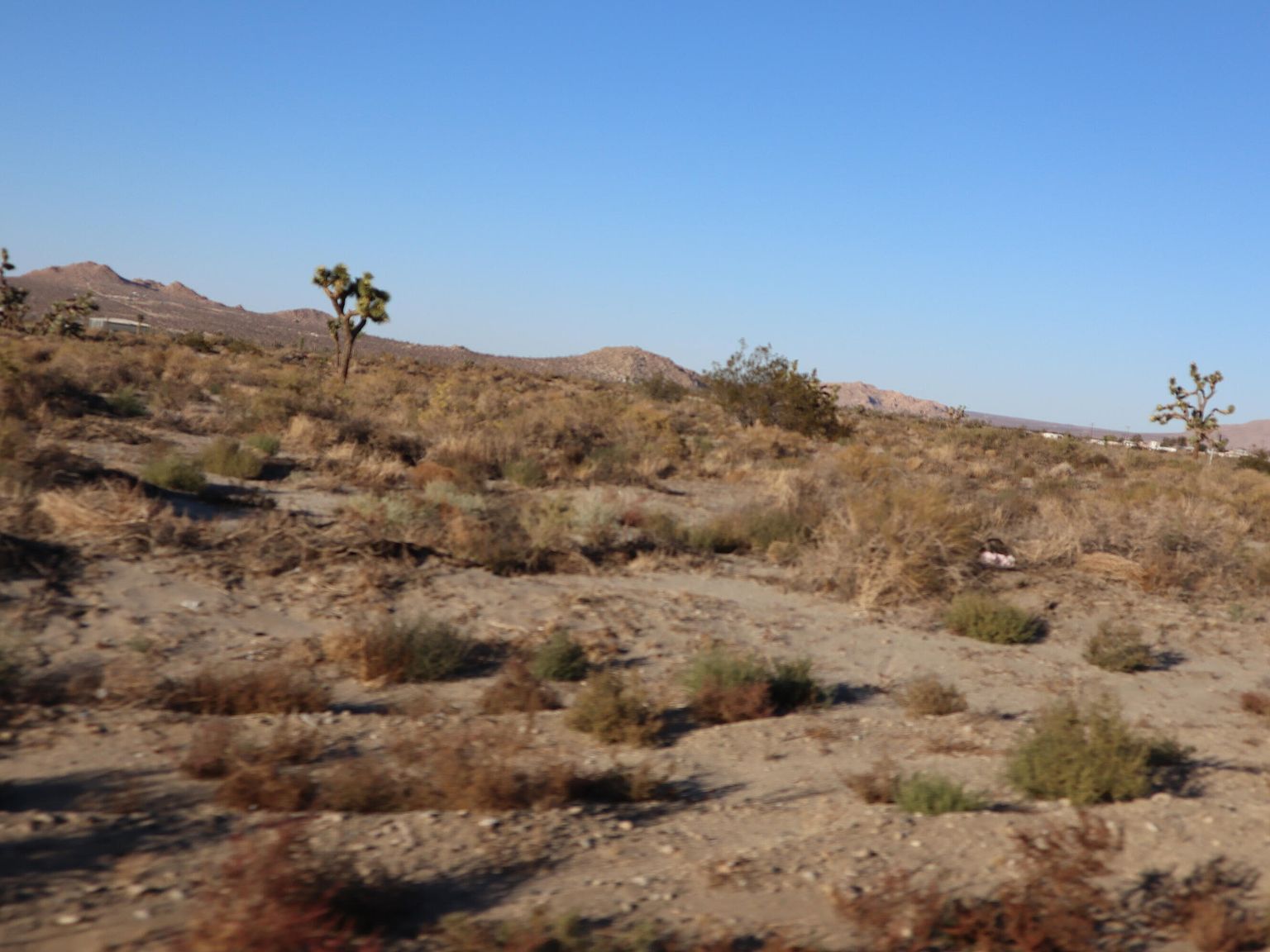 Vac Vic Rae Courson Rnch, Palmdale, CA 93550 | MLS #25002885 | Zillow