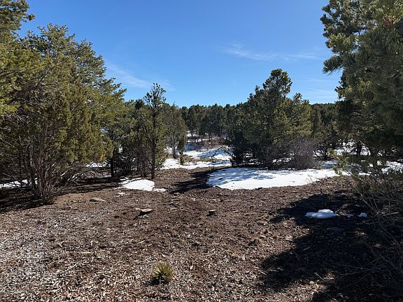 2nd image of Pine Dr #38