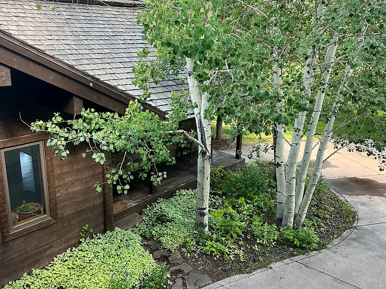 4305 Melody Ranch Dr — Photo 6