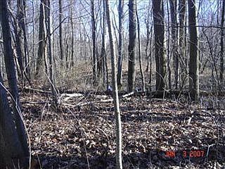 2nd image of 69420 County Road 384