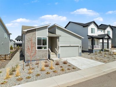 650 Simmental Loop, Castle Rock, CO, 80104