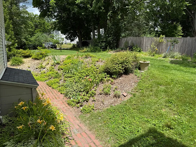 side-yard, looking toward parking area (on Auburn St)