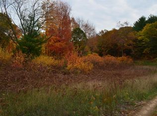 6202 N Stone Rd, Hesperia, MI 49421