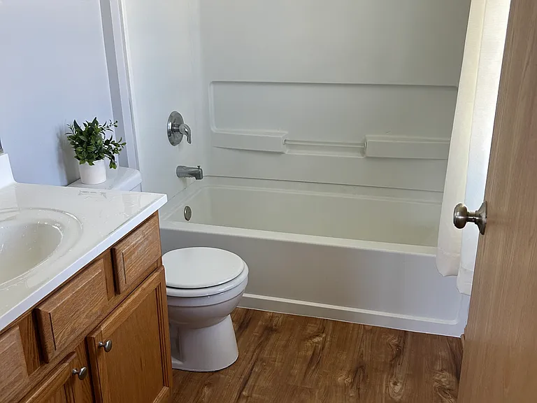 Master bathroom (NEW FLOOR)