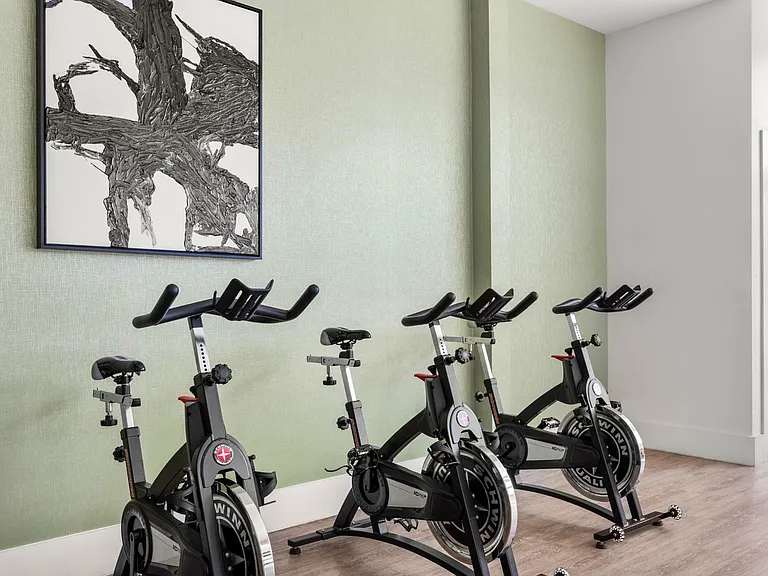 The Blake - Gym