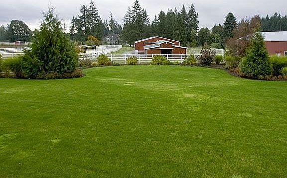 Property from back deck
