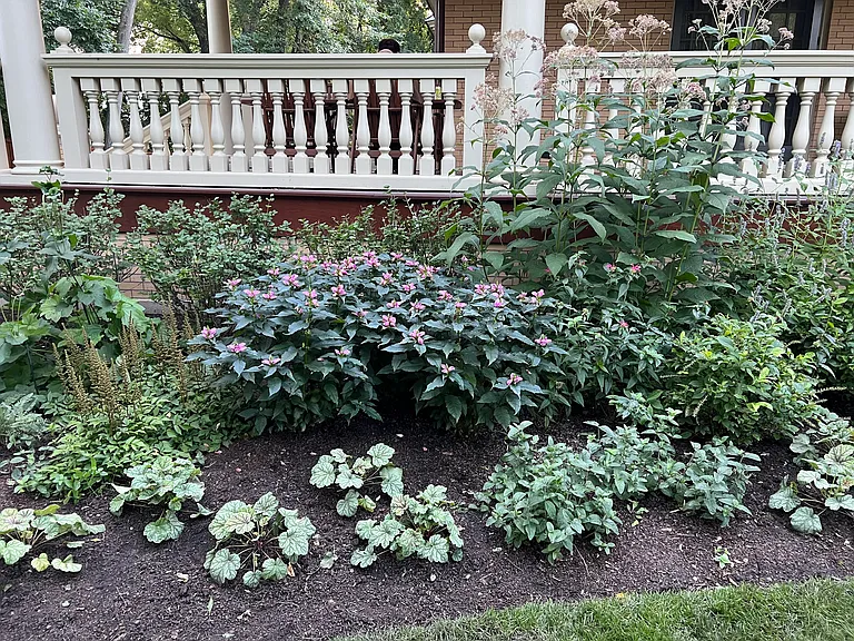 Front Bed landscaping at East facing edge of property