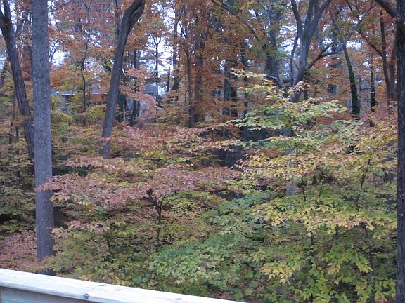 View from deck - pretty fall colors