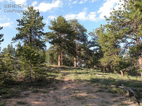 2nd image of 315 Hopi Ct