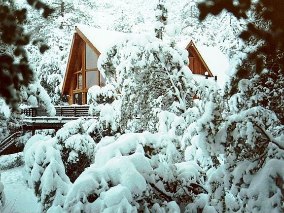 Cabin in Wintertime