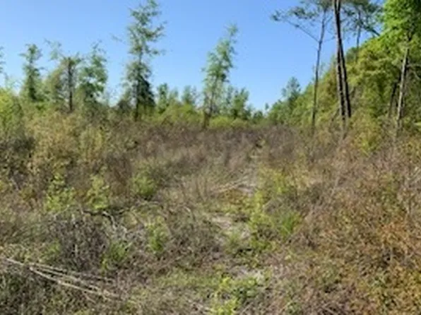 County Road 49, Mc Alpin, FL 32062