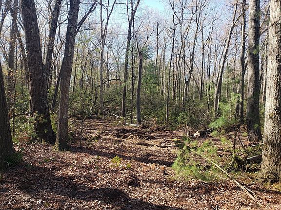 5th image of 0 Northwest Rd Lot 4
