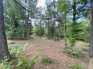 2nd image of 297 Cristys Circle