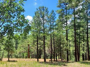 2526 Well Water Rd, Happy Jack, AZ 86024