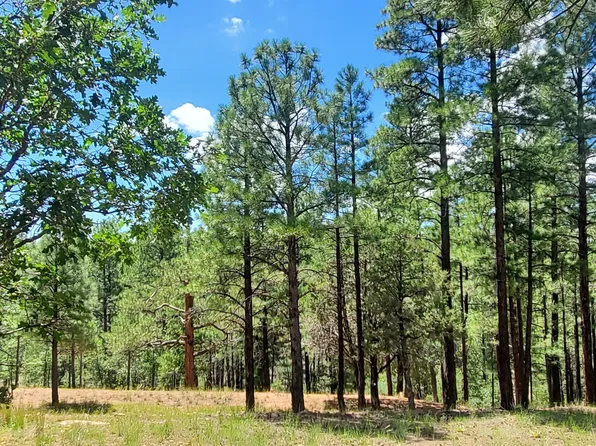 2526 Well Water Rd, Happy Jack, AZ 86024