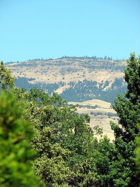 2nd image of 1045 Oak Knoll Dr