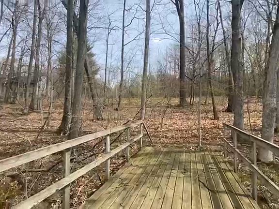 3rd image of Bridge Rd