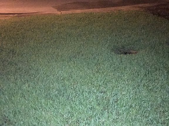 2nd image of 8716 Arrowhead Dr