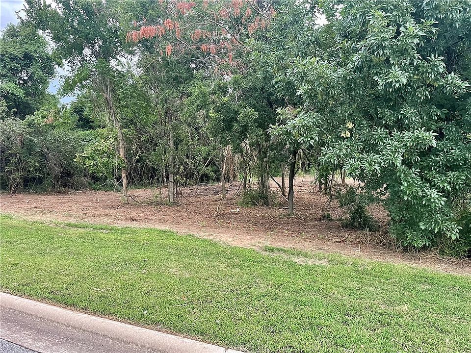 2nd image of E Copper Leaf Dr #5