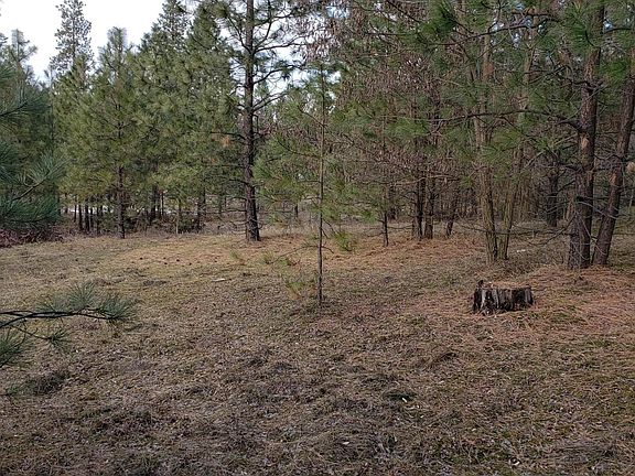2nd image of 1395 Ponderosa Way Lot 60