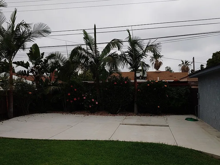 6682 Birchwood St — Photo 31