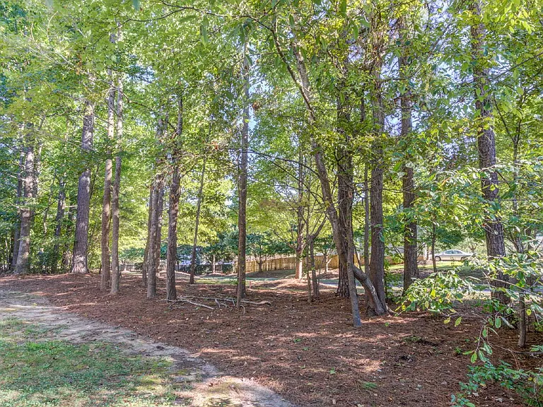 103 Unaka Ct — Photo 58