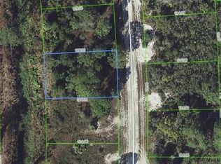 245 E Canal Way NE, Lake Placid, FL 33852