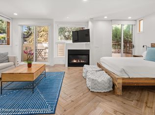 819 E Hyman Ave APT 3, Aspen, CO 81611