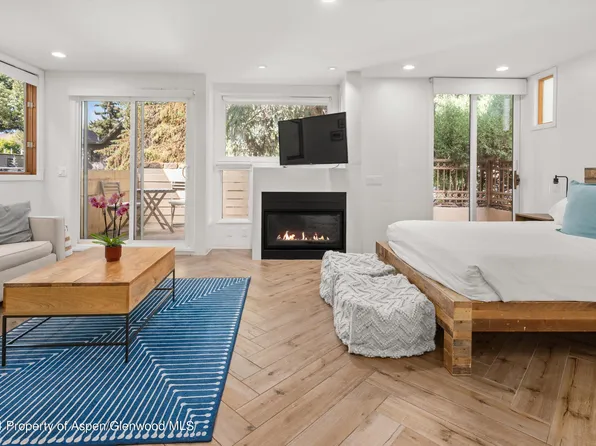 819 E Hyman Ave APT 3, Aspen, CO 81611