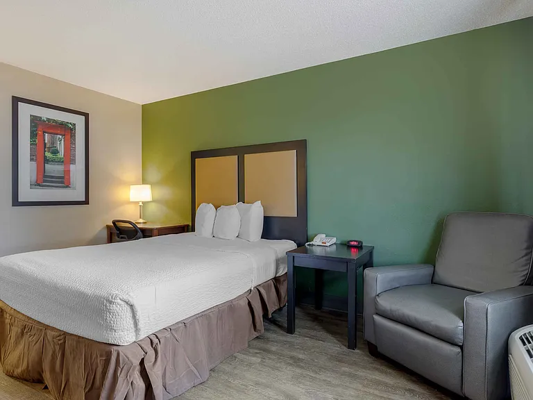 Studio Suite - 1 Queen Bed