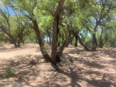 1015 W Patton St, Saint David, AZ, 85630