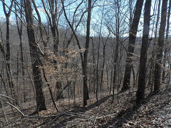 5th image of Fox Lake Ln Lot 13