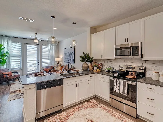 Model Apartment Home Kitchen
