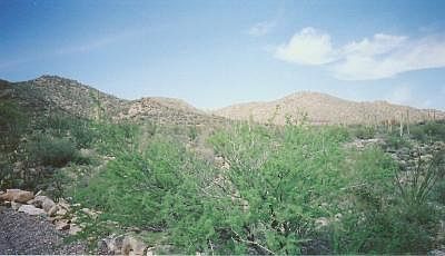 2nd image of 0 N Gecko Canyon Trl