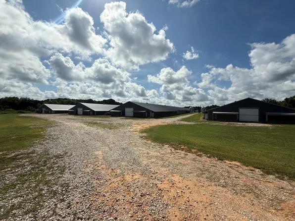 715 County Road 564, Midland City, AL 36350