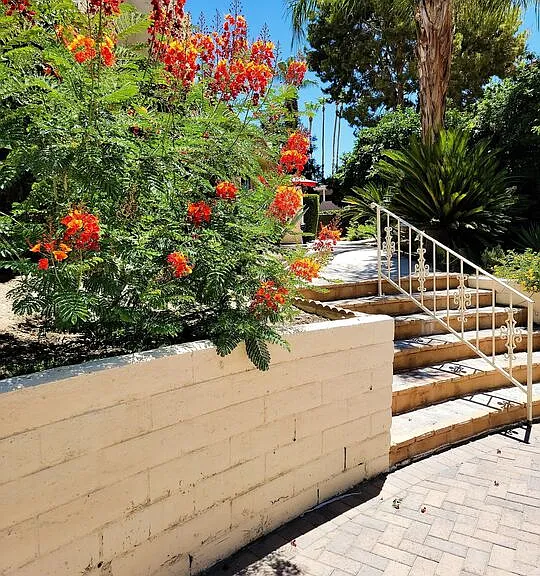 2600 S Palm Canyon Dr #20 — Photo 3