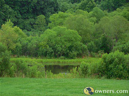 Wildlife perserve view