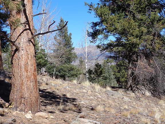 5th image of Tbd Eagles Ridge