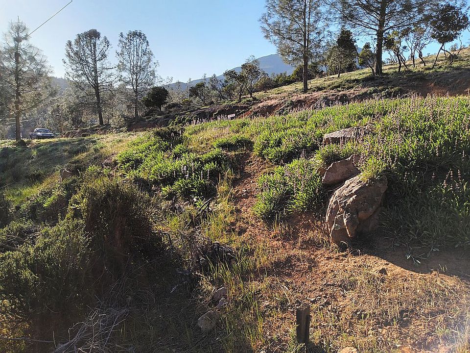 NE stake, 10155 El Capitan 
