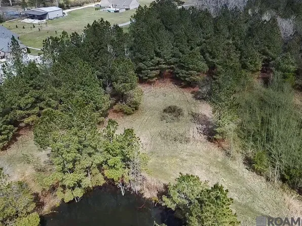 Washington Ln, Greenwell Springs, LA 70739