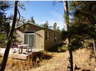 120 Piney Knolls Dr APT 1, Red Feather Lakes, CO 80545