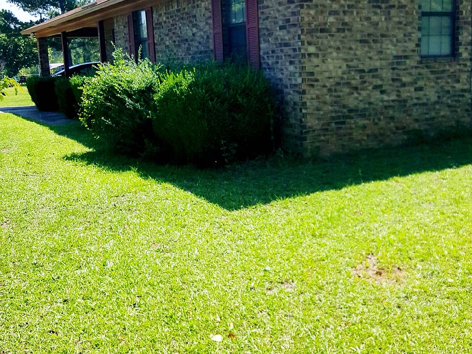 2nd image of 408 Clarks Place Rd