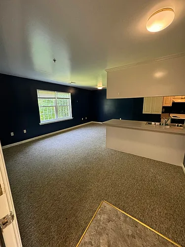 507 Capitol Hwy #204 Photo 1